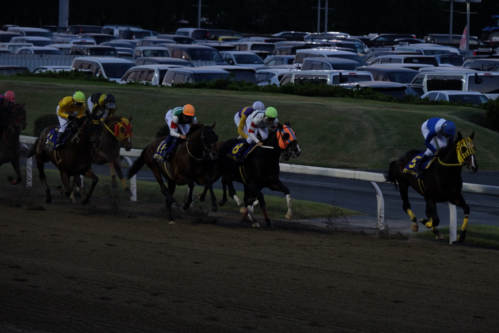 f:id:umagohan:20161103165629j:plain