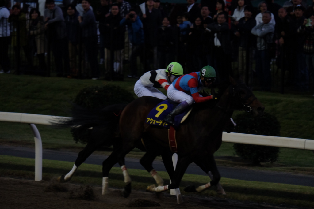 f:id:umagohan:20161103165750j:plain