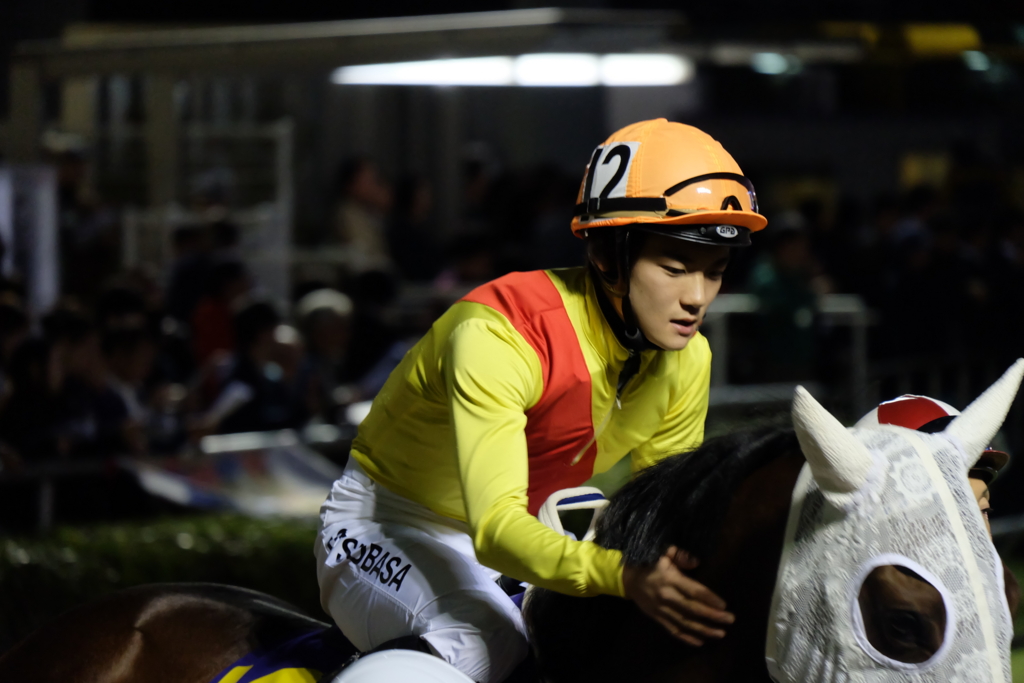 f:id:umagohan:20161103172323j:plain