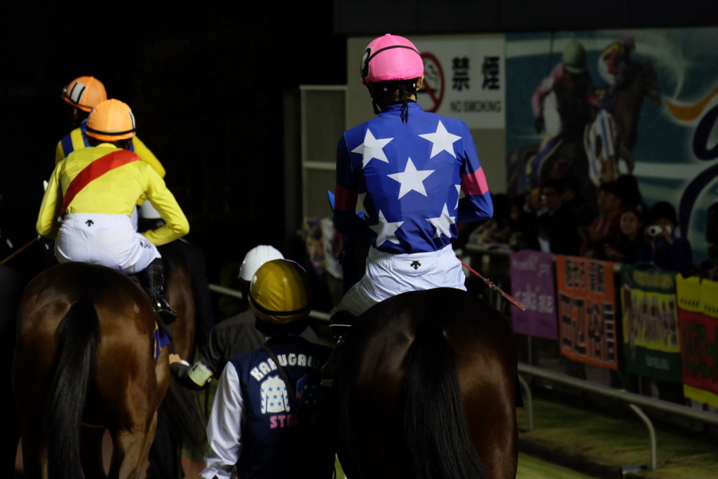 f:id:umagohan:20161103172331j:plain