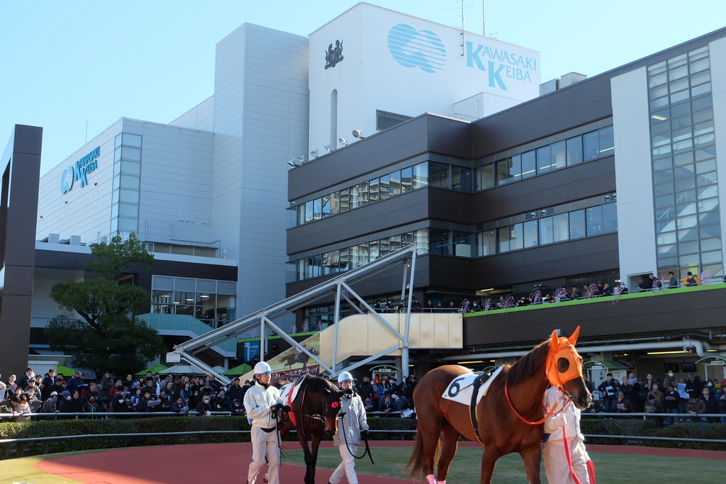 2019 11 20 川崎11r ロジータ記念 予想 子育て資金を馬券で稼ぐ
