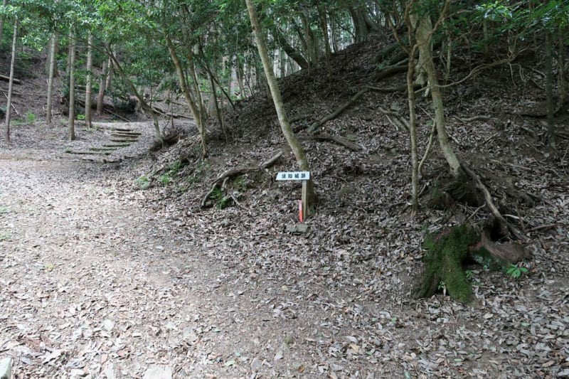 f:id:umahide:20190726232844j:image f:id:umahide:20190726232844j:image