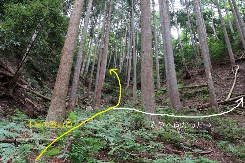 f:id:umahide:20190726232925j:image f:id:umahide:20190726232925j:image