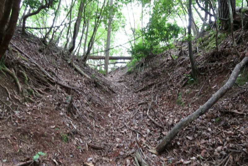 f:id:umahide:20190726233101j:image f:id:umahide:20190726233101j:image