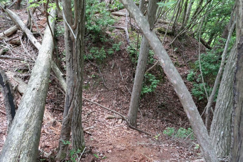 f:id:umahide:20190726233138j:image f:id:umahide:20190726233138j:image