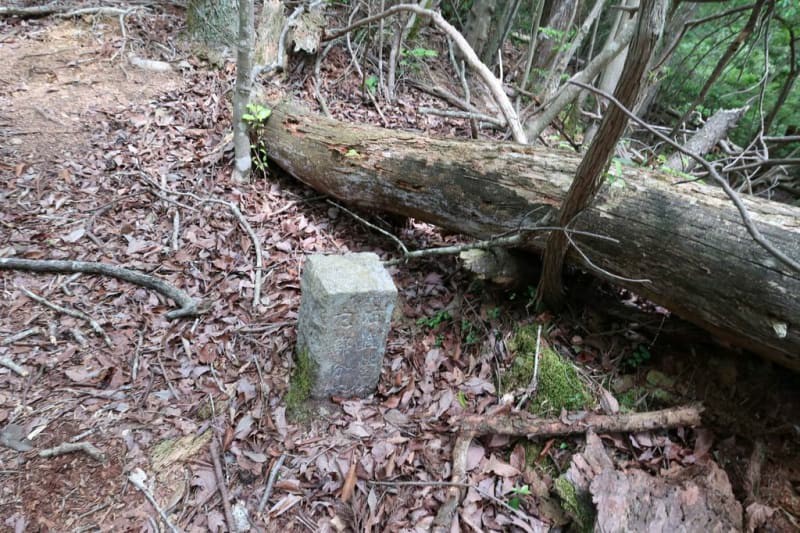 f:id:umahide:20190726233214j:image f:id:umahide:20190726233214j:image