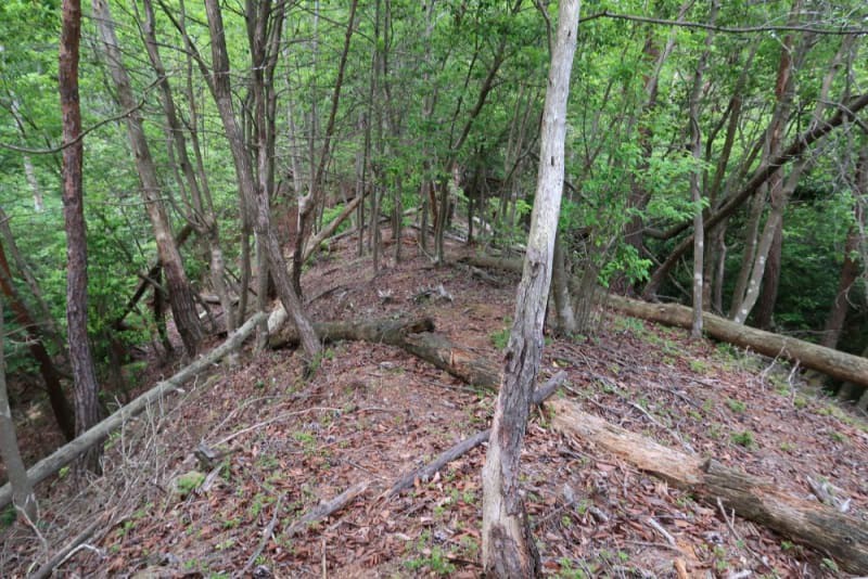 f:id:umahide:20190726233559j:image f:id:umahide:20190726233559j:image