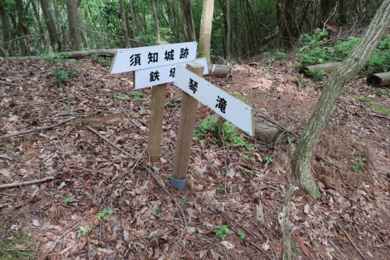 f:id:umahide:20190726233629j:image f:id:umahide:20190726233629j:image