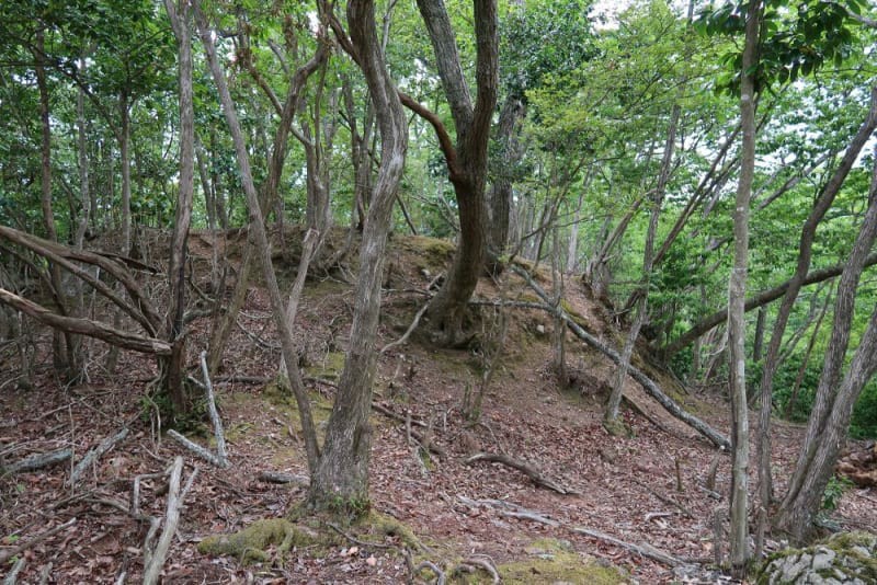 f:id:umahide:20190726233924j:image f:id:umahide:20190726233924j:image