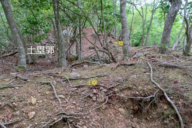 f:id:umahide:20190726233953j:image f:id:umahide:20190726233953j:image