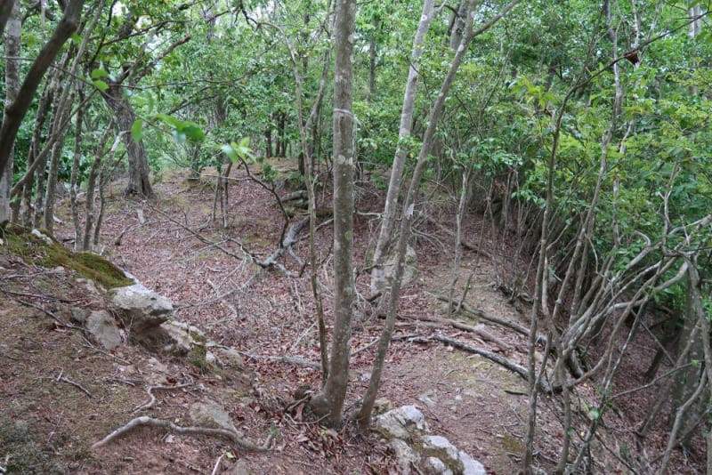 f:id:umahide:20190726234052j:image f:id:umahide:20190726234052j:image