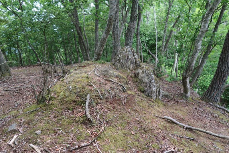 f:id:umahide:20190726234126j:image f:id:umahide:20190726234126j:image