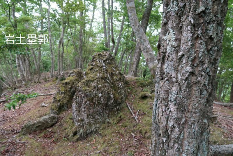 f:id:umahide:20190726234145j:image f:id:umahide:20190726234145j:image