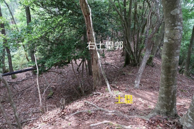 f:id:umahide:20190726234249j:image f:id:umahide:20190726234249j:image