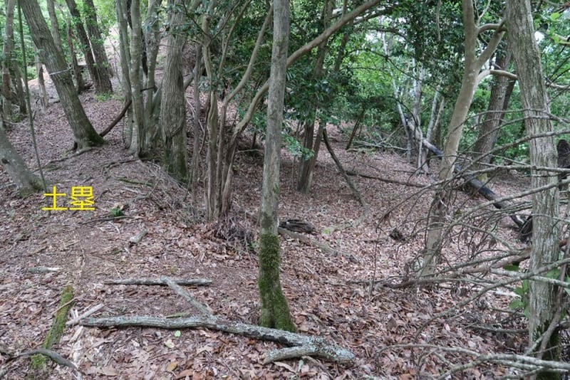 f:id:umahide:20190726234307j:image f:id:umahide:20190726234307j:image