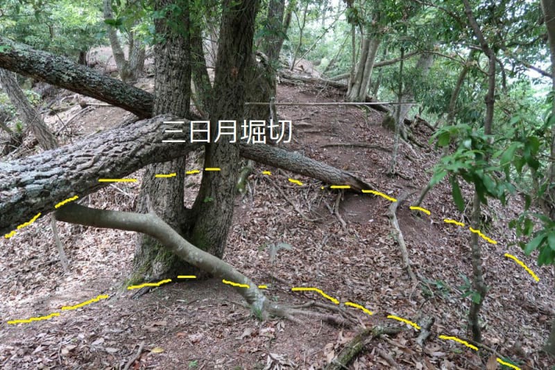 f:id:umahide:20190726234419j:image f:id:umahide:20190726234419j:image