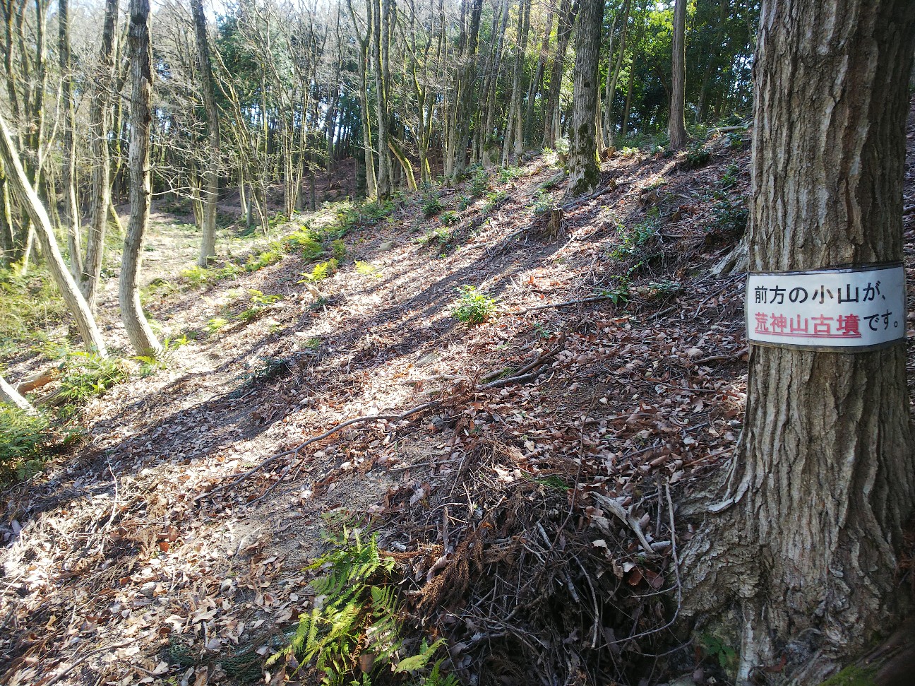 f:id:umahide:20200620131612j:image