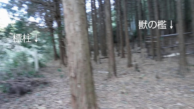 f:id:umahide:20211019234047j:image