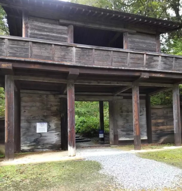 f:id:umahide:20251110103728j:image