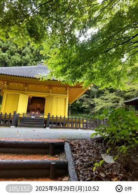 f:id:umahide:20251110104628j:image