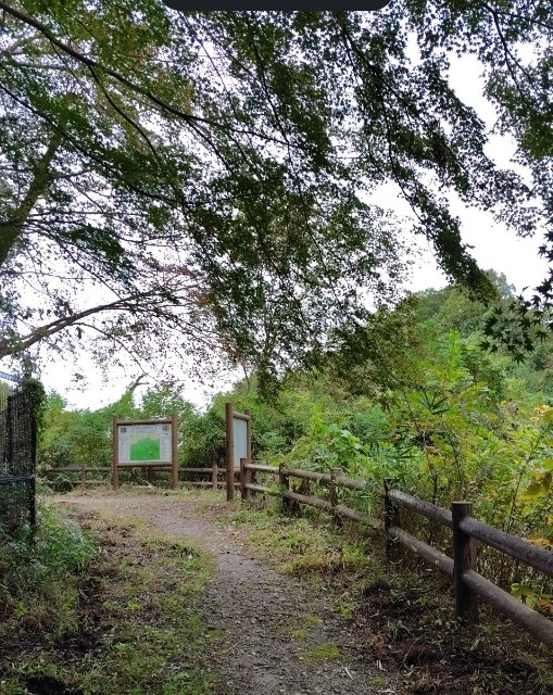 f:id:umahide:20251110111954j:image