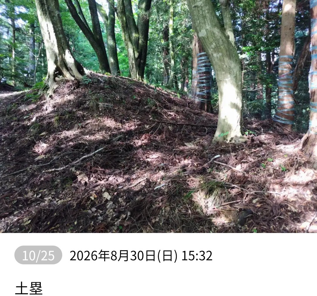 f:id:umahide:20260905154652j:image f:id:umahide:20260905154652j:image