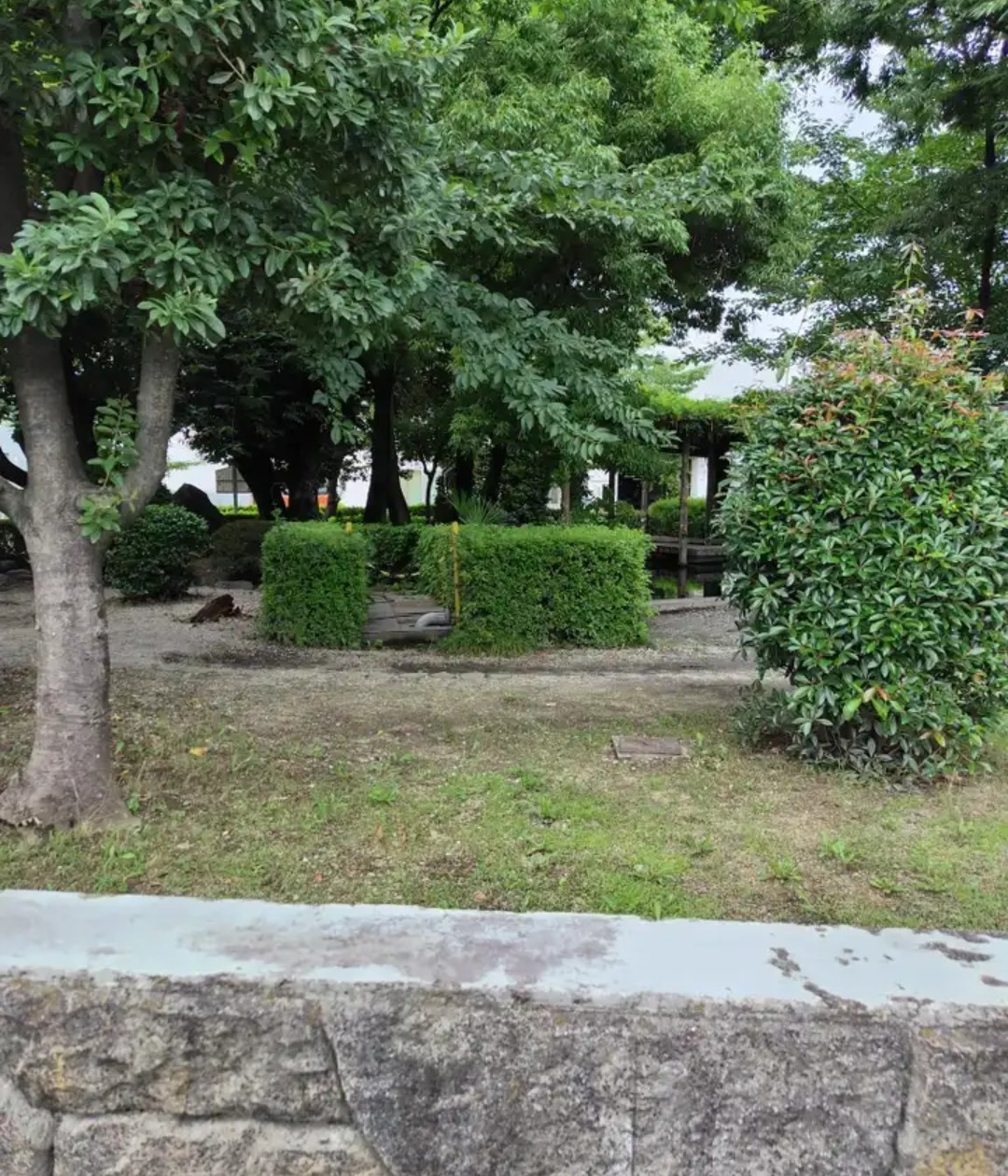 f:id:umahide:20260914162426j:image f:id:umahide:20260914162426j:image