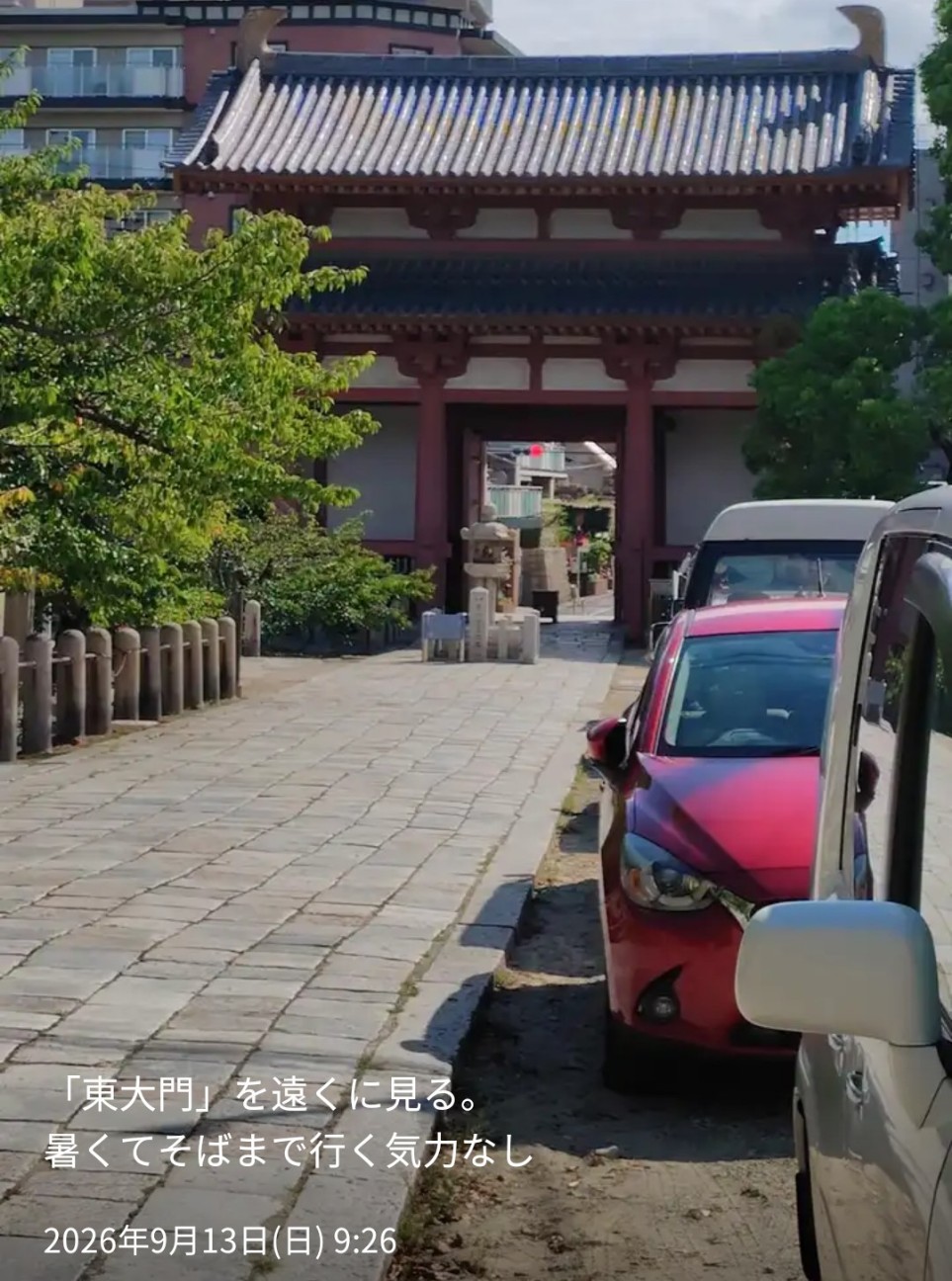 f:id:umahide:20260917165029j:image f:id:umahide:20260917165029j:image