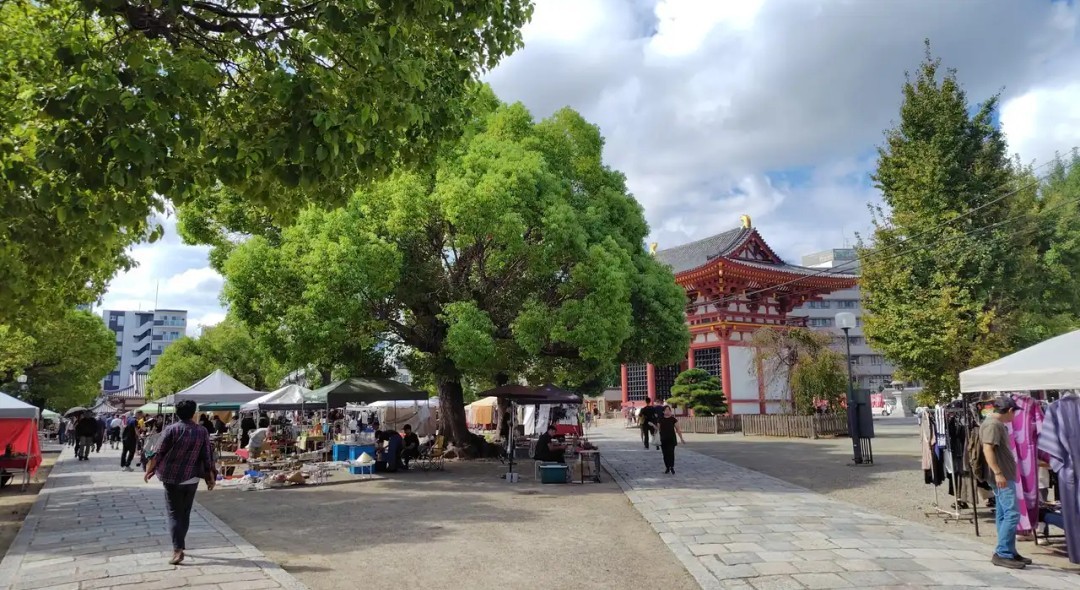 f:id:umahide:20260917165134j:image f:id:umahide:20260917165134j:image