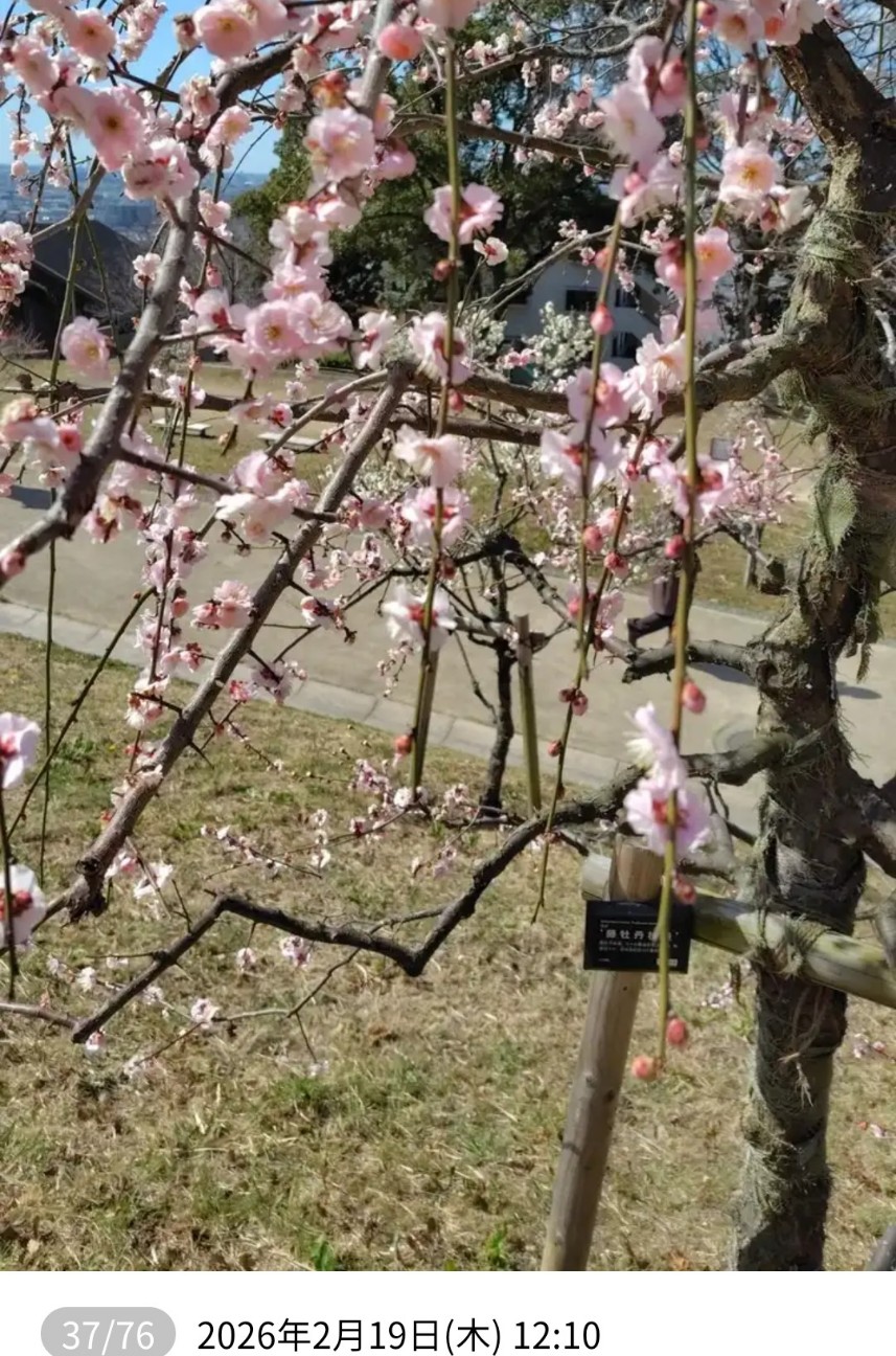 f:id:umahide:20261001153119j:image f:id:umahide:20261001153119j:image