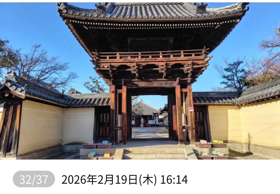 f:id:umahide:20261001153320j:image f:id:umahide:20261001153320j:image