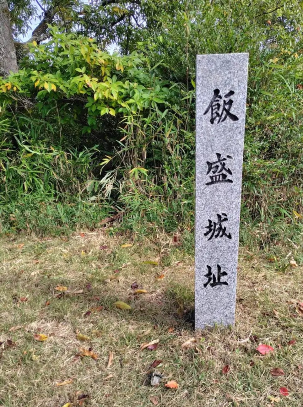 f:id:umahide:20261001155518j:image f:id:umahide:20261001155518j:image