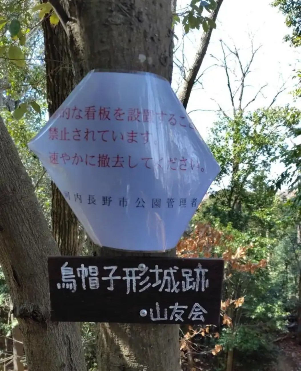 f:id:umahide:20261001155551j:image f:id:umahide:20261001155551j:image