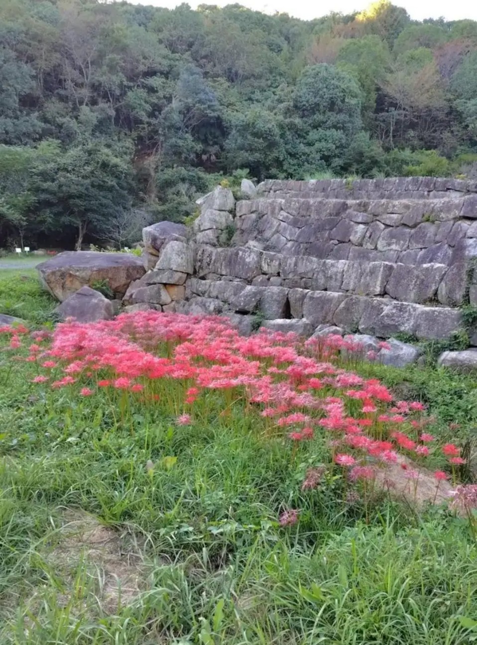 f:id:umahide:20261009155528j:image f:id:umahide:20261009155528j:image
