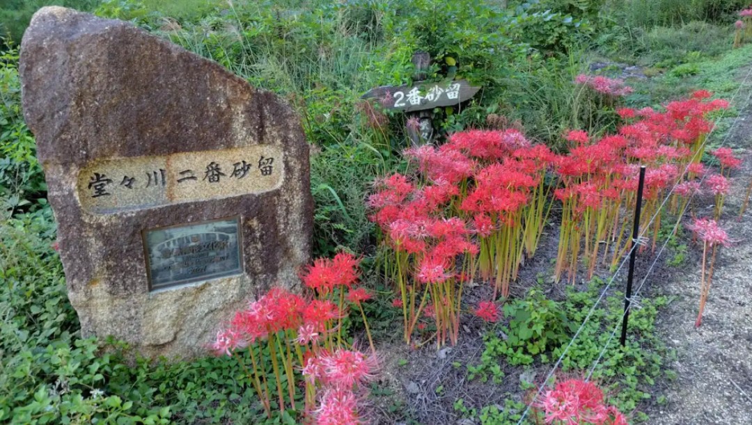 f:id:umahide:20261009155626j:image f:id:umahide:20261009155626j:image