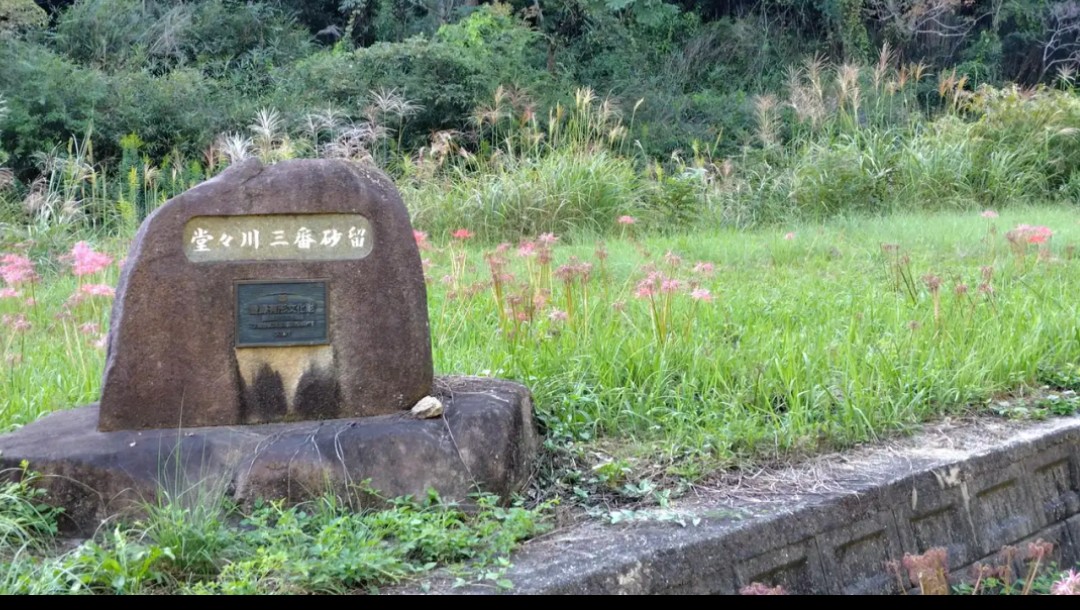 f:id:umahide:20261009155719j:image f:id:umahide:20261009155719j:image