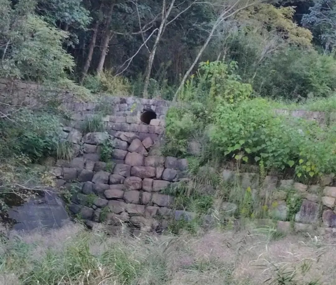 f:id:umahide:20261009155747j:image f:id:umahide:20261009155747j:image