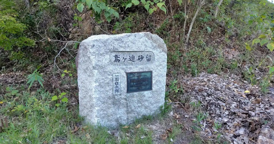 f:id:umahide:20261009160342j:image f:id:umahide:20261009160342j:image