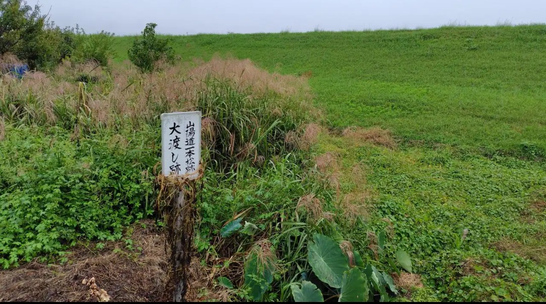 f:id:umahide:20261015154603j:image f:id:umahide:20261015154603j:image