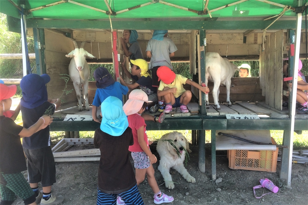 f:id:umahirobamarkun:20200109193530j:plain