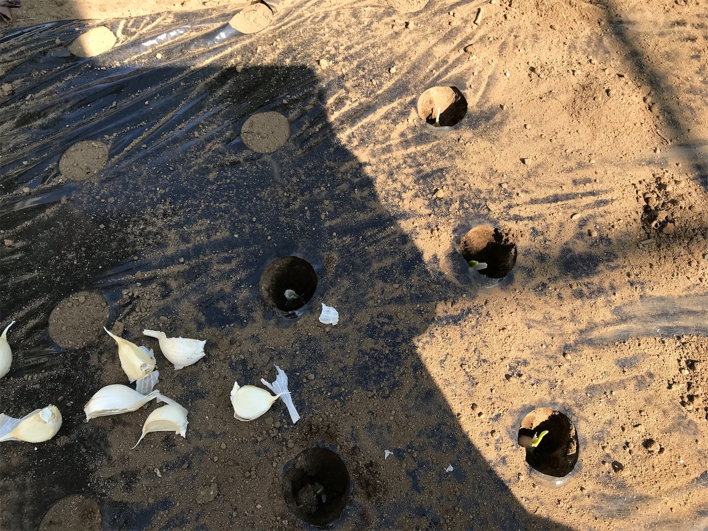 f:id:umaiyan1:20191004222331j:image f:id:umaiyan1:20191004222331j:image