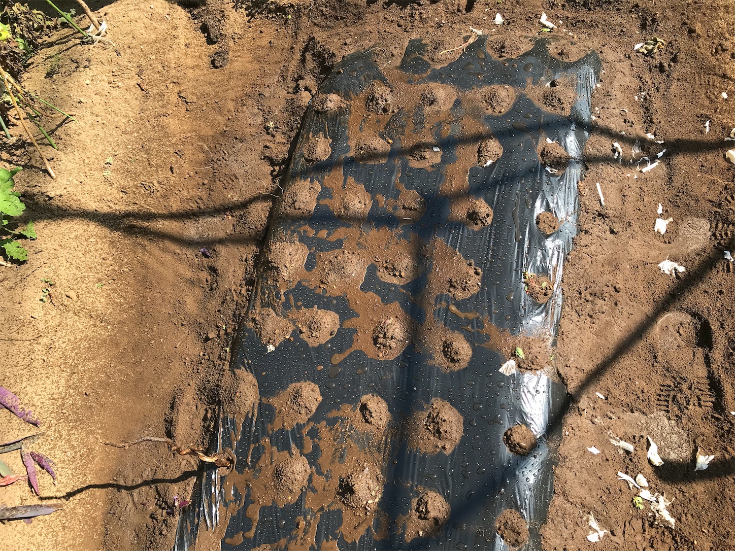 f:id:umaiyan1:20191004223013j:image f:id:umaiyan1:20191004223013j:image