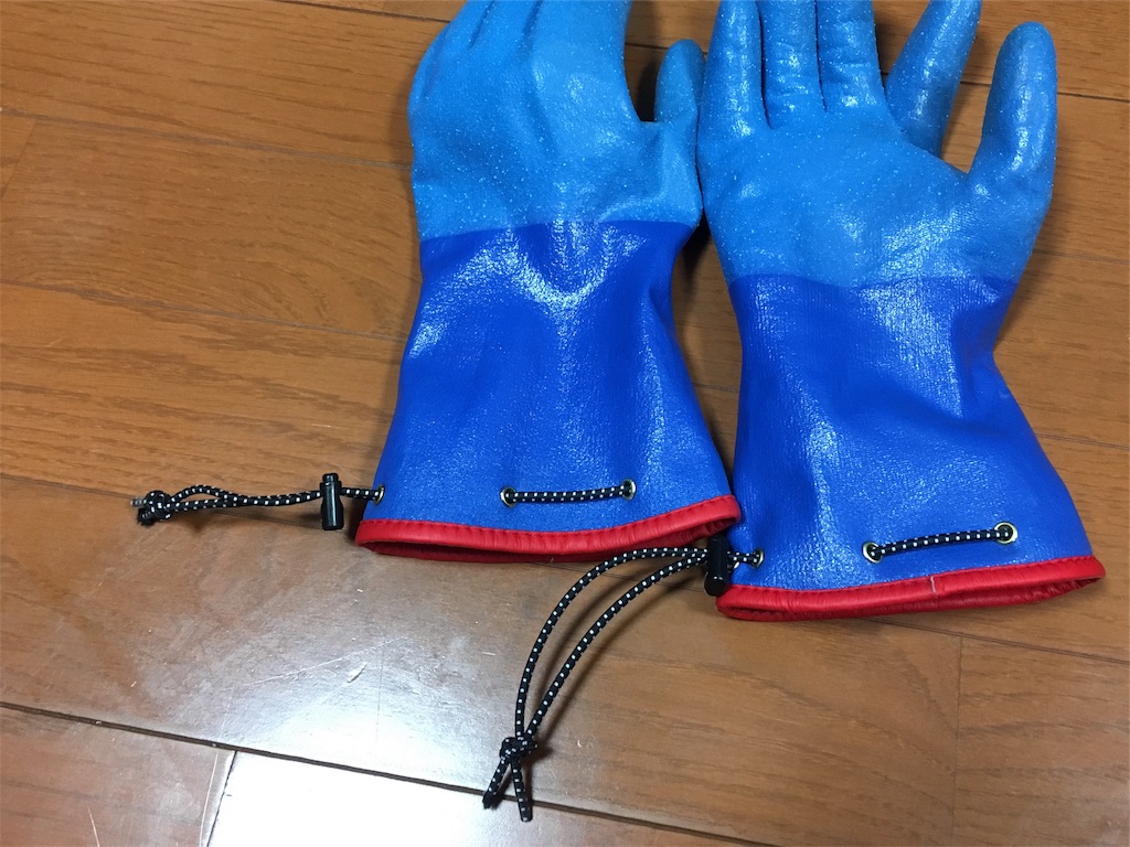 f:id:umako66:20190117082853j:image