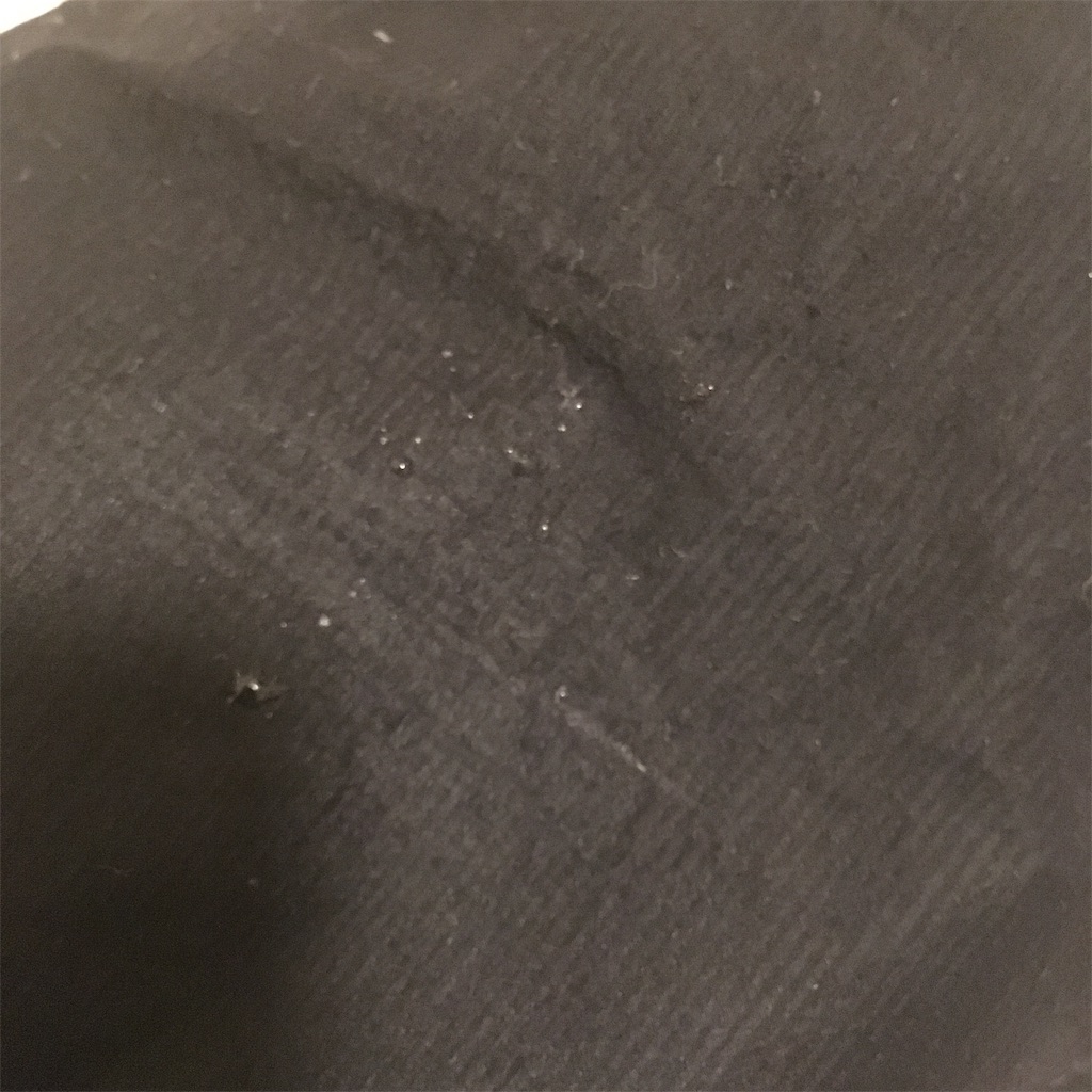 f:id:umako66:20190604220120j:image