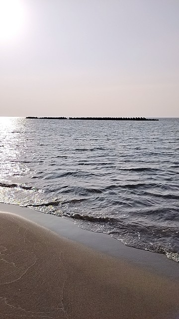 f:id:umanekosyuukai:20230401201210j:image