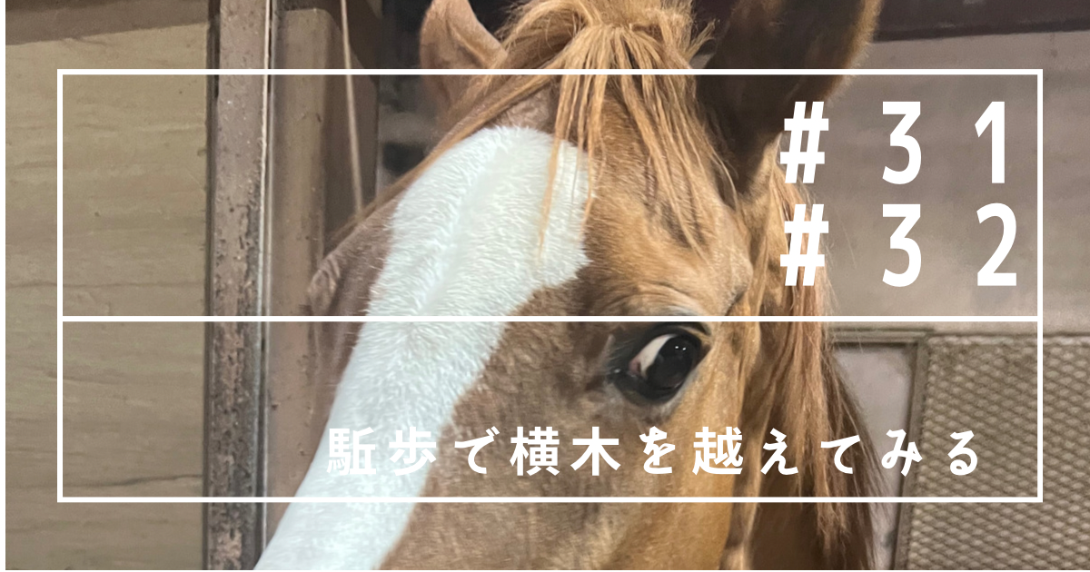 f:id:umanikki:20240211225950p:image f:id:umanikki:20240211225950p:image