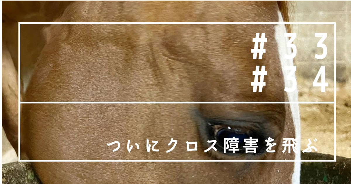 f:id:umanikki:20240211230055p:image f:id:umanikki:20240211230055p:image