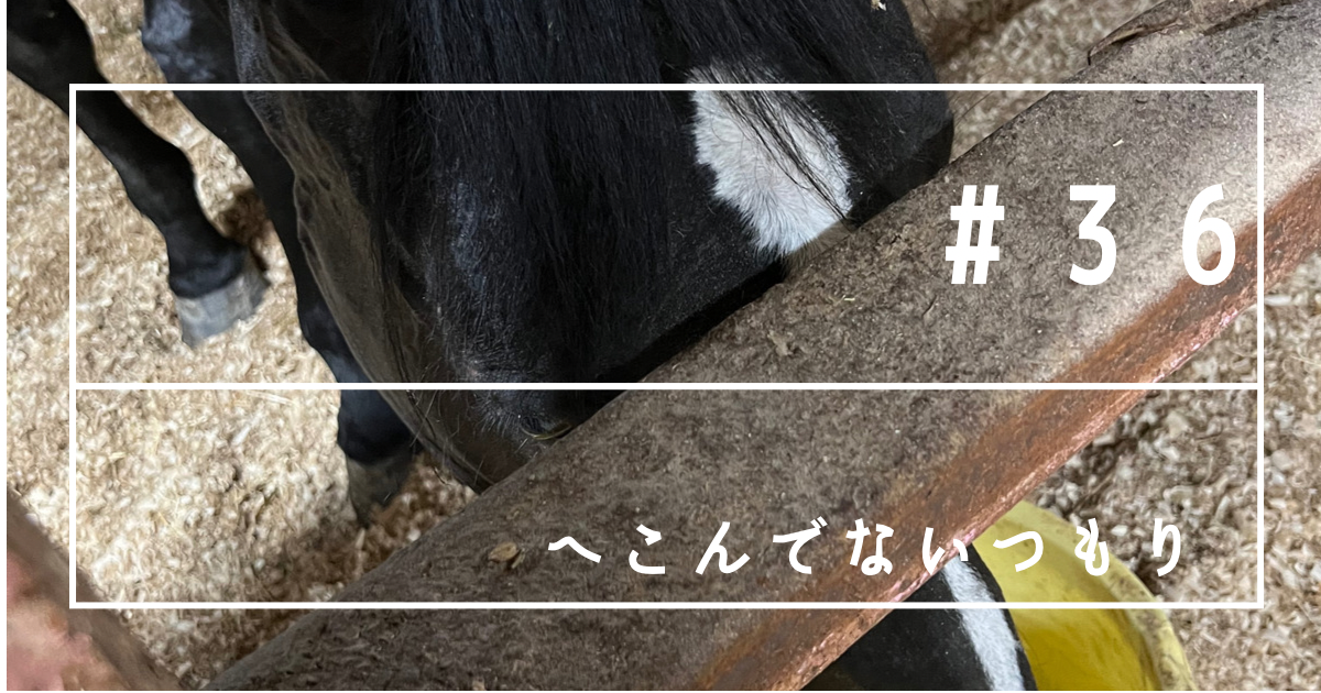 f:id:umanikki:20240211230204p:image f:id:umanikki:20240211230204p:image