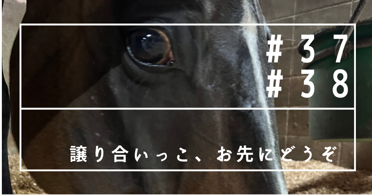 f:id:umanikki:20240211230231p:image f:id:umanikki:20240211230231p:image