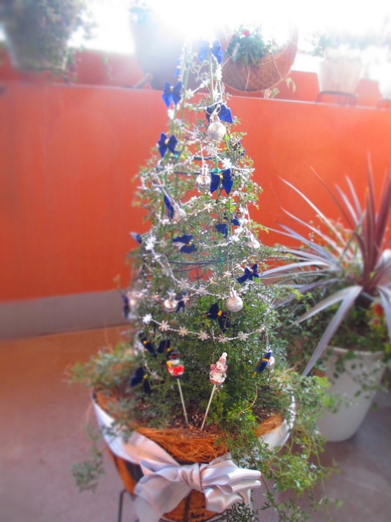 f:id:umanomimini-nendo:20171213145849j:plain f:id:umanomimini-nendo:20171213145849j:plain